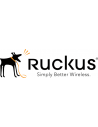 Ruckus Wireless